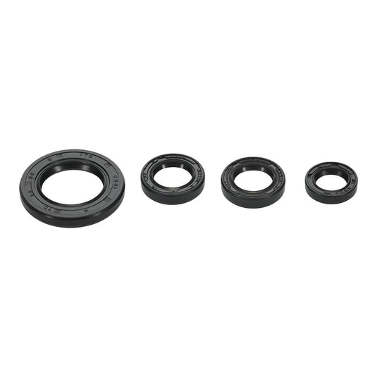 Oil Seal Kit 822395