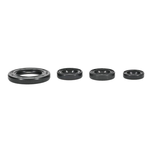 Oil Seal Kit 822395