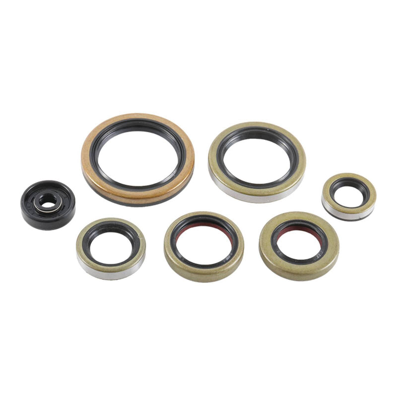 Load image into Gallery viewer, Oil Seal Kit 822976
