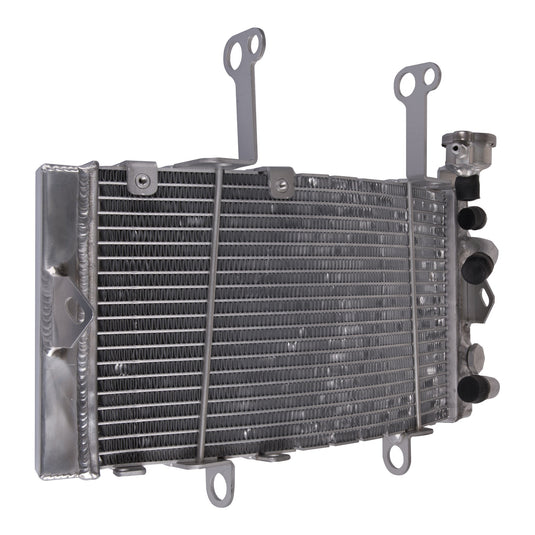 Whites Radiator KTM/Husqvarna 450 Rally / FR450 Rally '19-'22