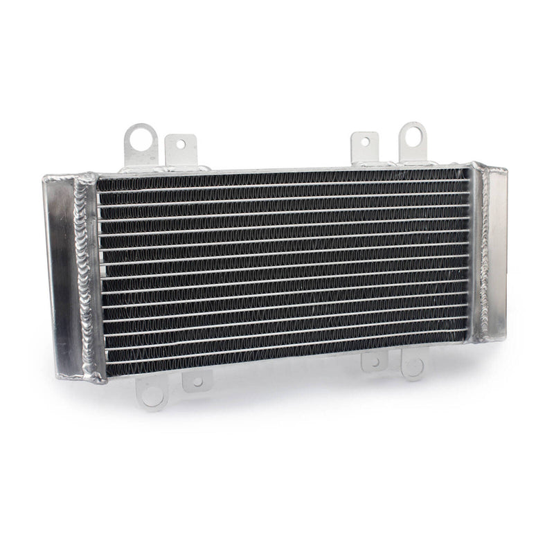 Load image into Gallery viewer, Whites Radiator Kawasaki Ninja 250R &#39;09-&#39;12
