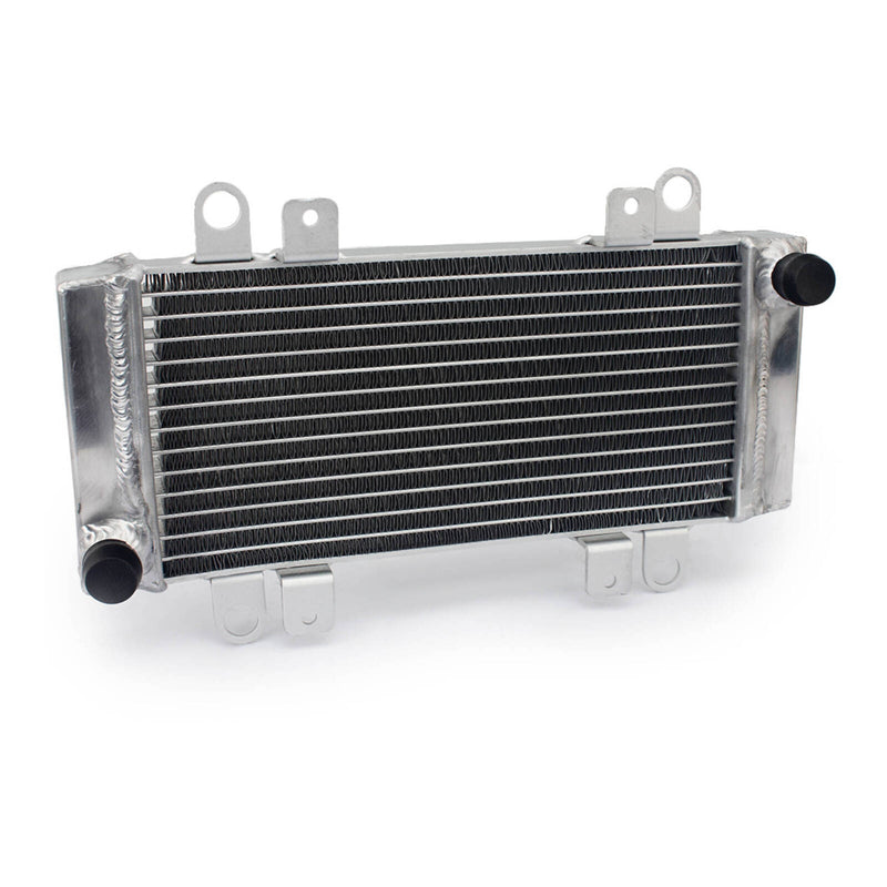 Load image into Gallery viewer, Whites Radiator Kawasaki Ninja 250R &#39;09-&#39;12
