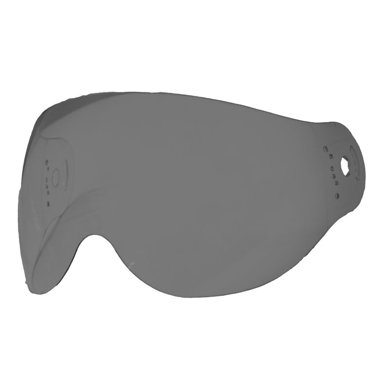 Load image into Gallery viewer, Visor RXT AG-X - Light Smoke
