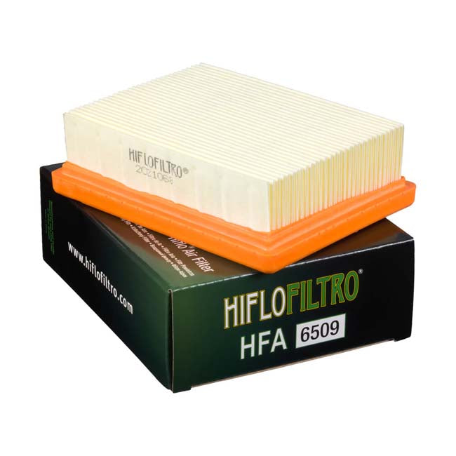Load image into Gallery viewer, HFA6509 Air Filter
