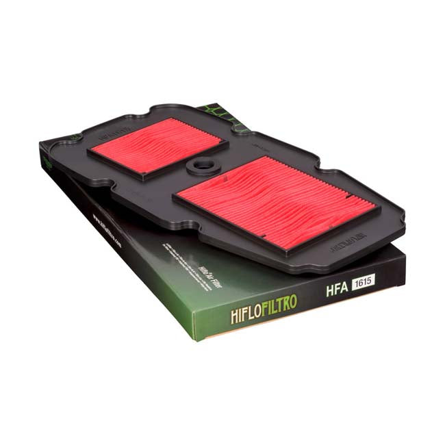 Load image into Gallery viewer, HIFLO HFA1615 Air Filter
