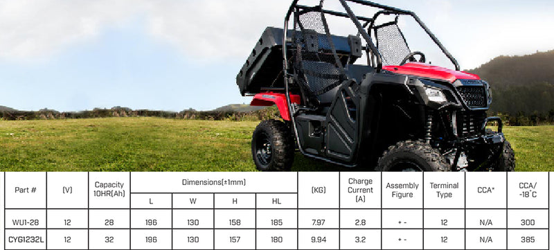 Load image into Gallery viewer, CYG1232l 2
