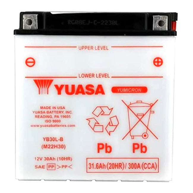 Load image into Gallery viewer, YUASA YB30LB
